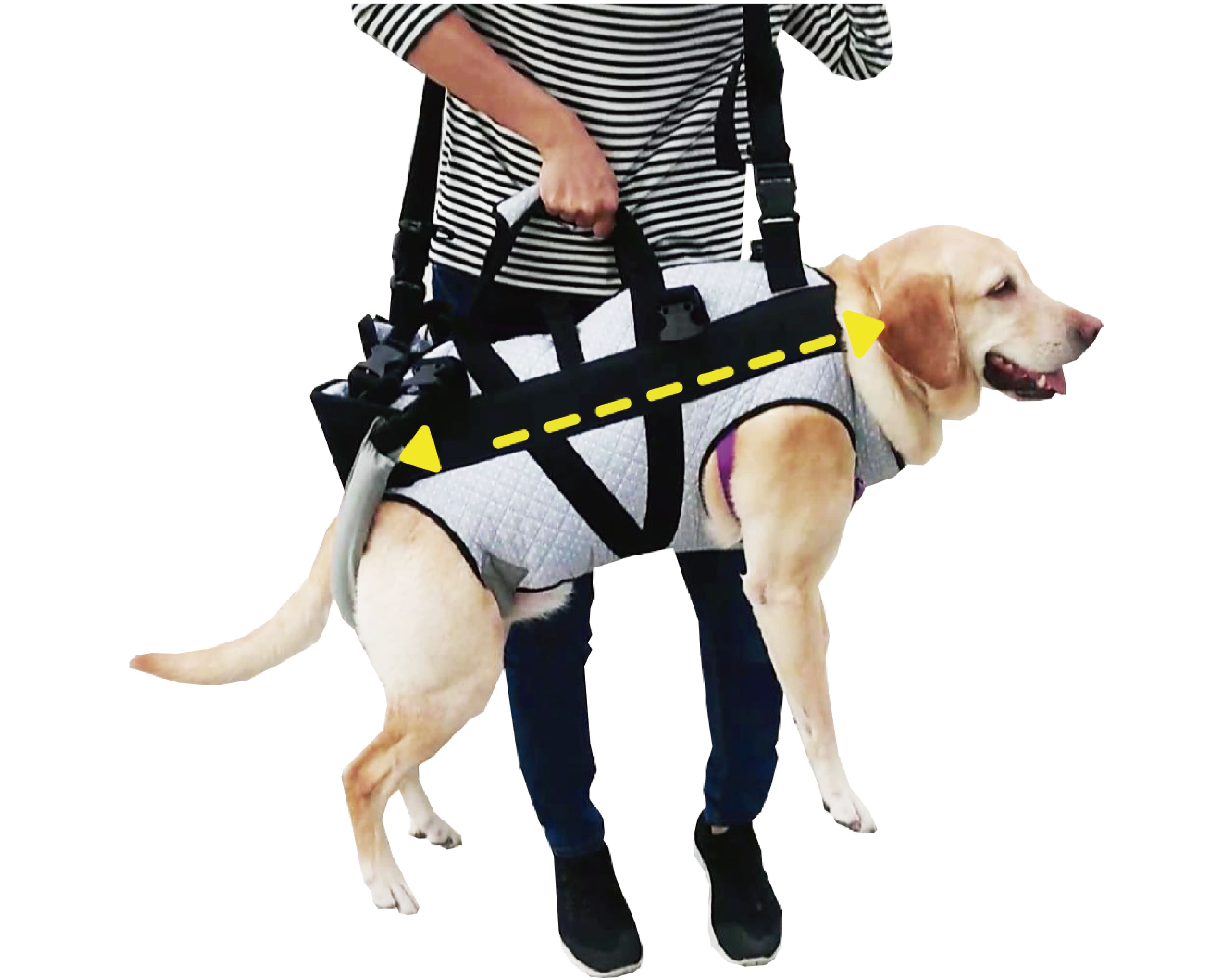 full body dog lifting harness