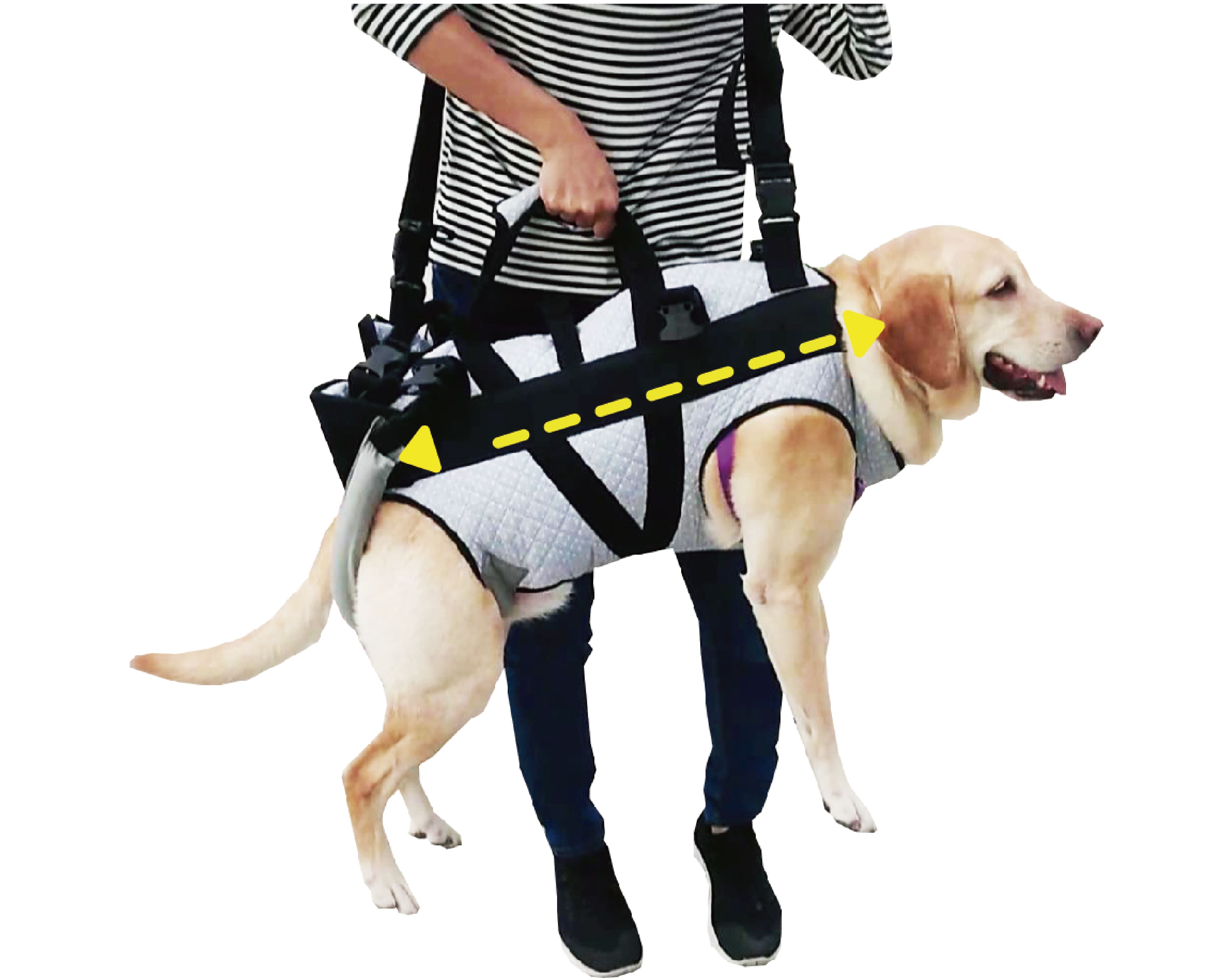 Balto Body Lift Dog Body Harness With Handles | lupon.gov.ph