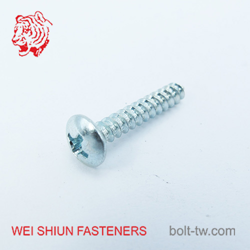 Screws for plastics self tapping thread type A phillip drive pan head