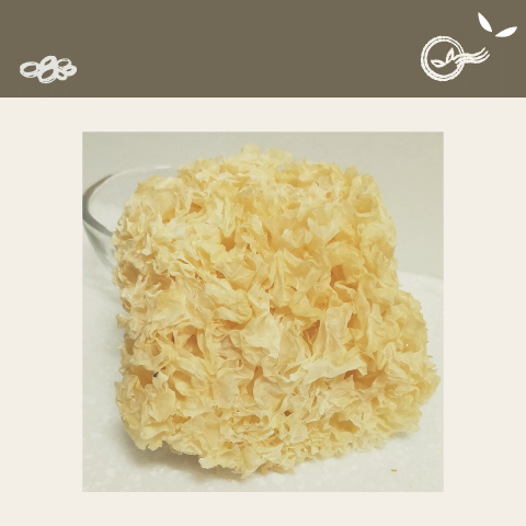 Dried White Fungus Dried Tremella Dried Food Tremella Fuciformis Supplier