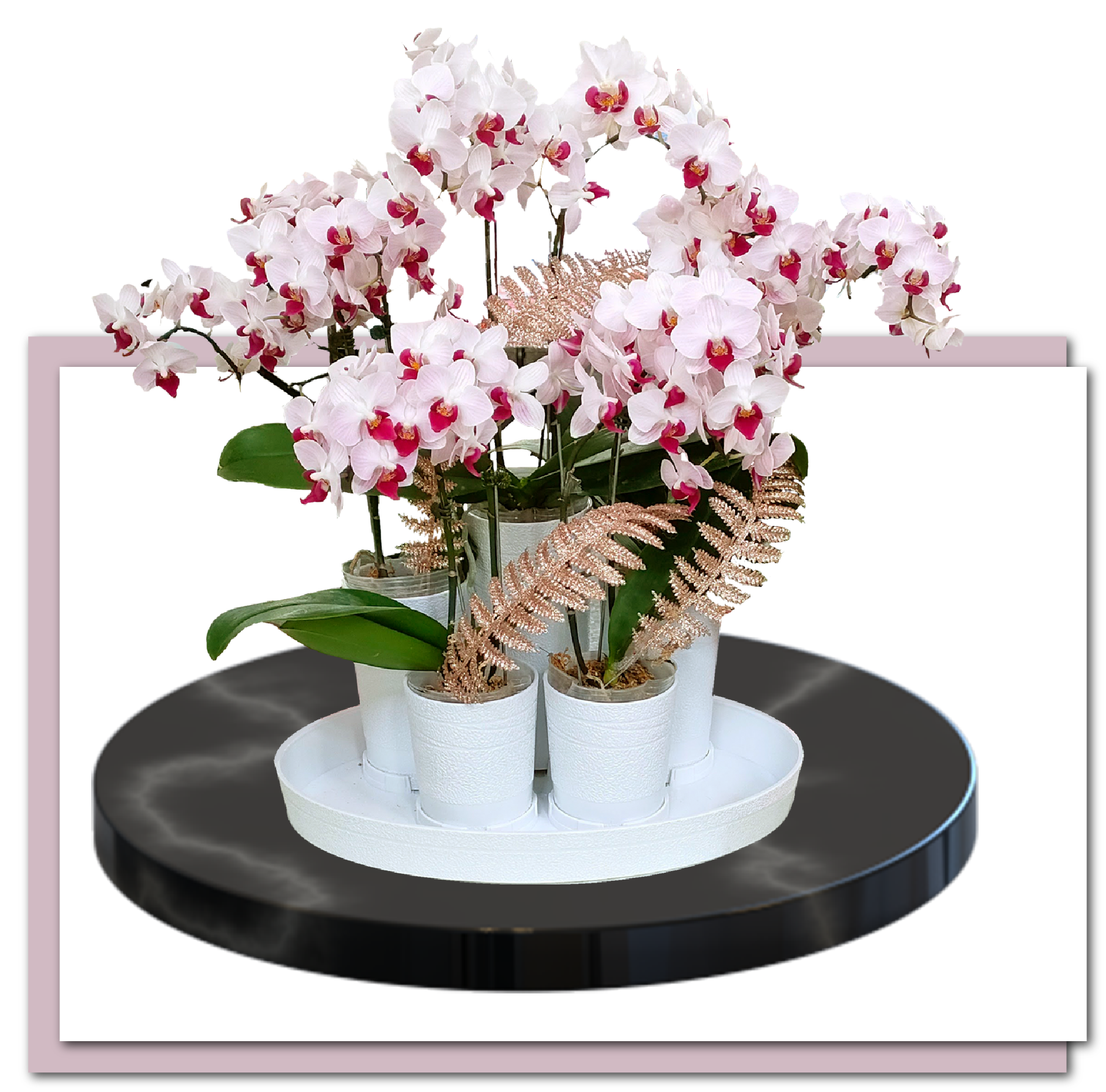 作品展示 01-五福臨門蘭花管插花橢圓盤組