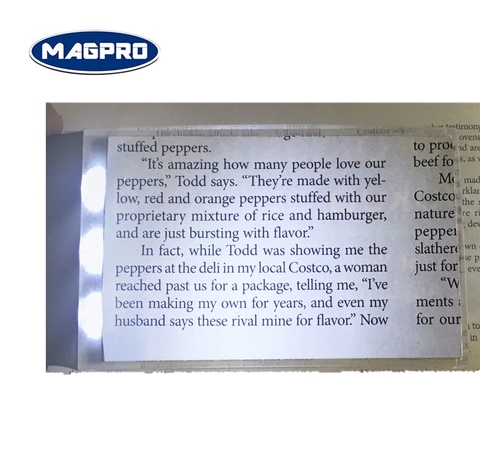 magnifying book light
