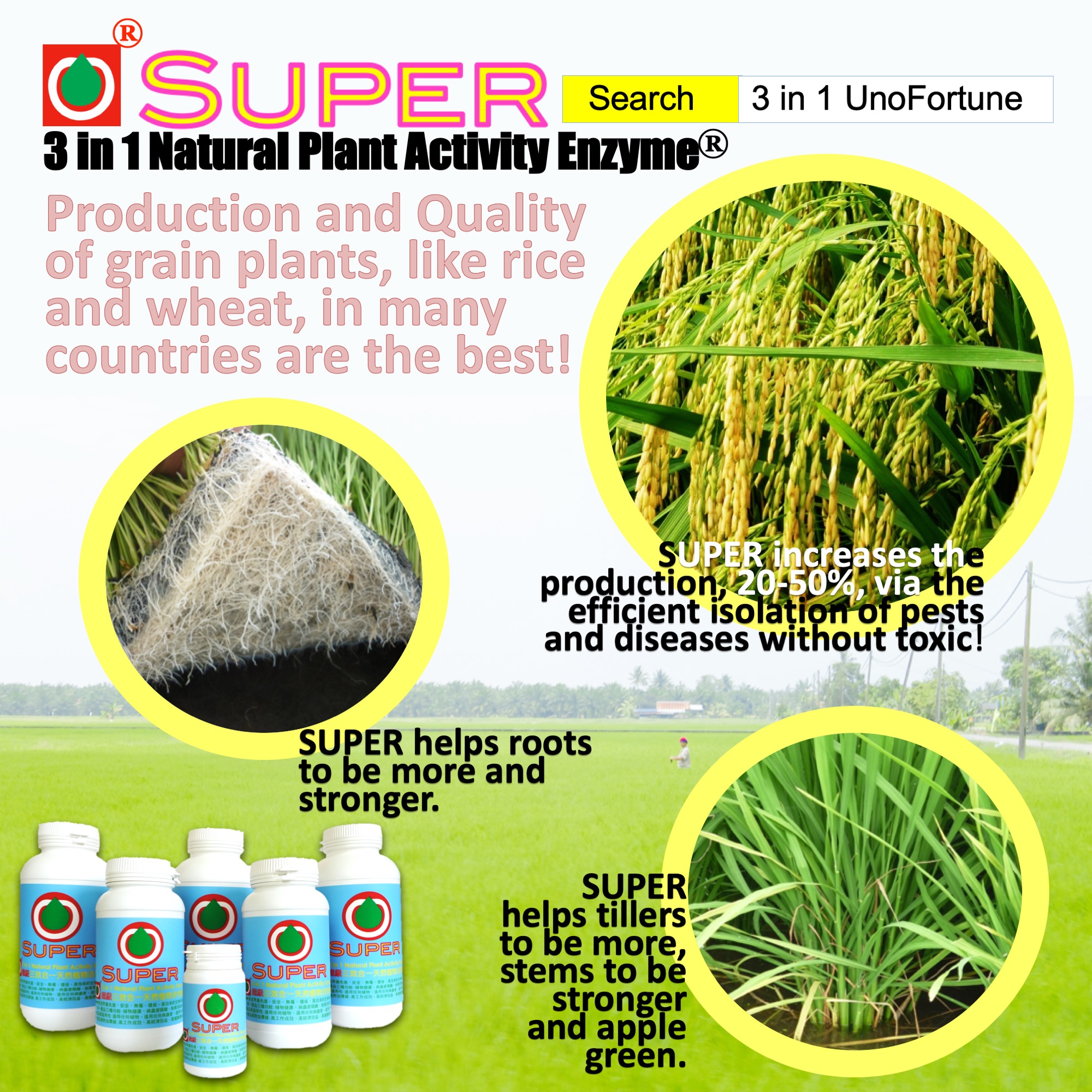 Plant Growth Enzymes Garden Enzymes