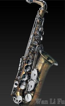 Wongful / Alto Saxophone / professional