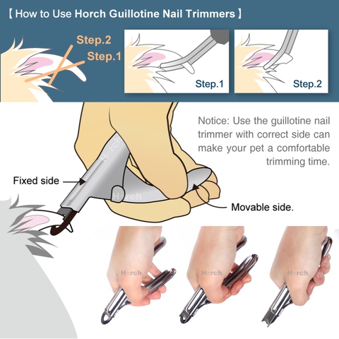 correct way to use dog nail clippers