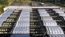 Wisdom agriculture - three-tier automatic canopy Wisdom agriculture - three-tier automatic canopy