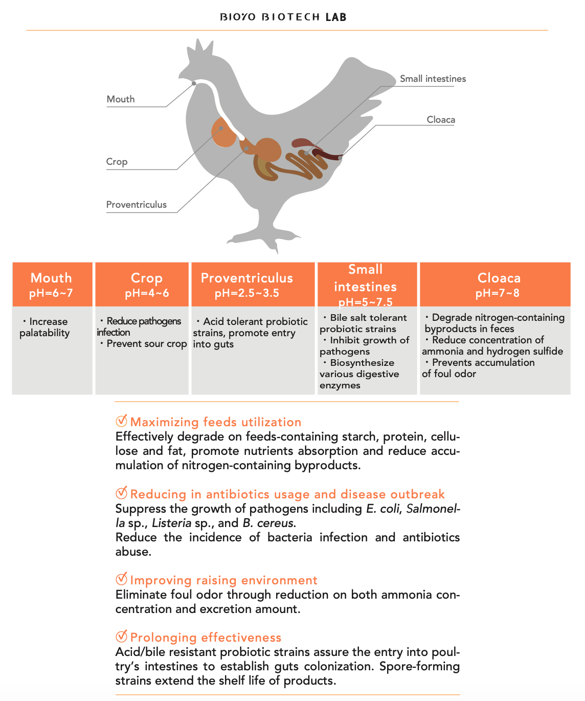 Feed Additive BiOYO Healthy Want Poultry, Microbial Feed Additives