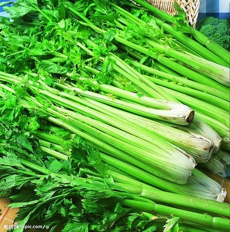 Celery Extract