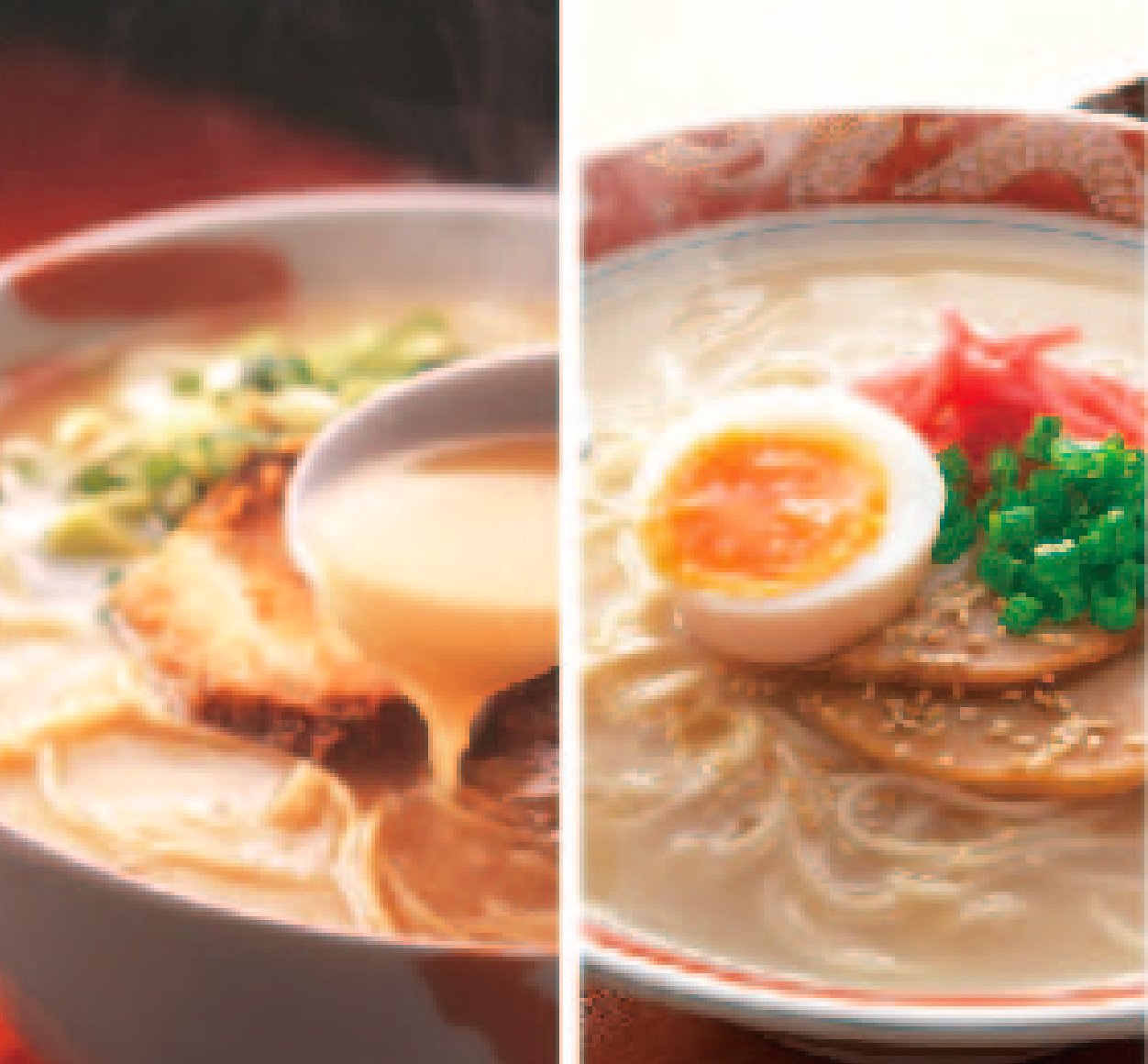 Appetizing Ramen Broth,Imported Straight from Japan | Taiwantrade