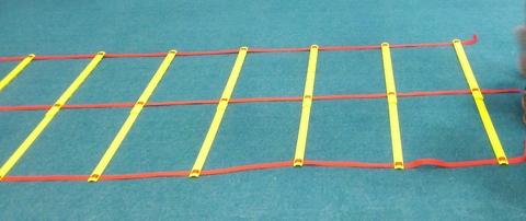 double agility ladder