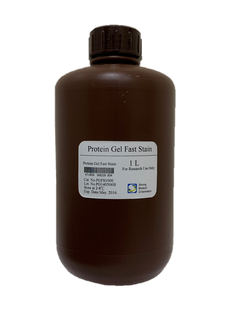 Imperial Protean. Invision his-tag in-Gel Stain.