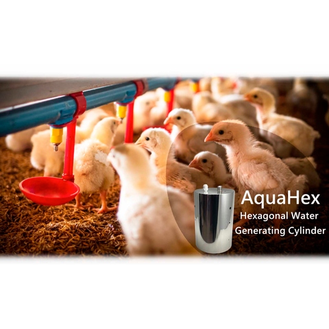 AquaHex Hexagonal Water Generation System for Poultry Hydration