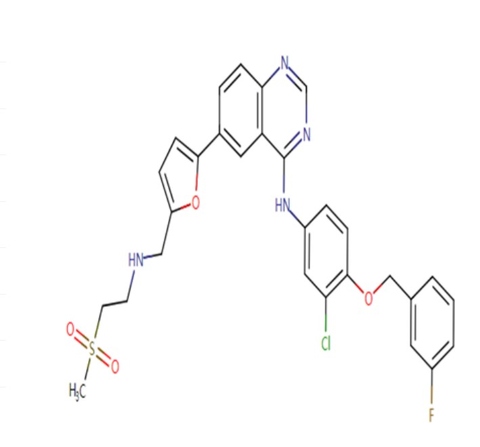 Lapatinib CAS No. 231277-92-2