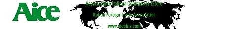 AICE - Associazione Italiana Commercio Estero