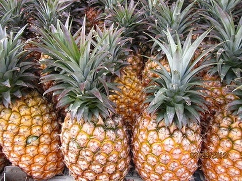 Fresh pineapple