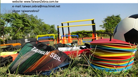 agility ladder hurdles and cones
