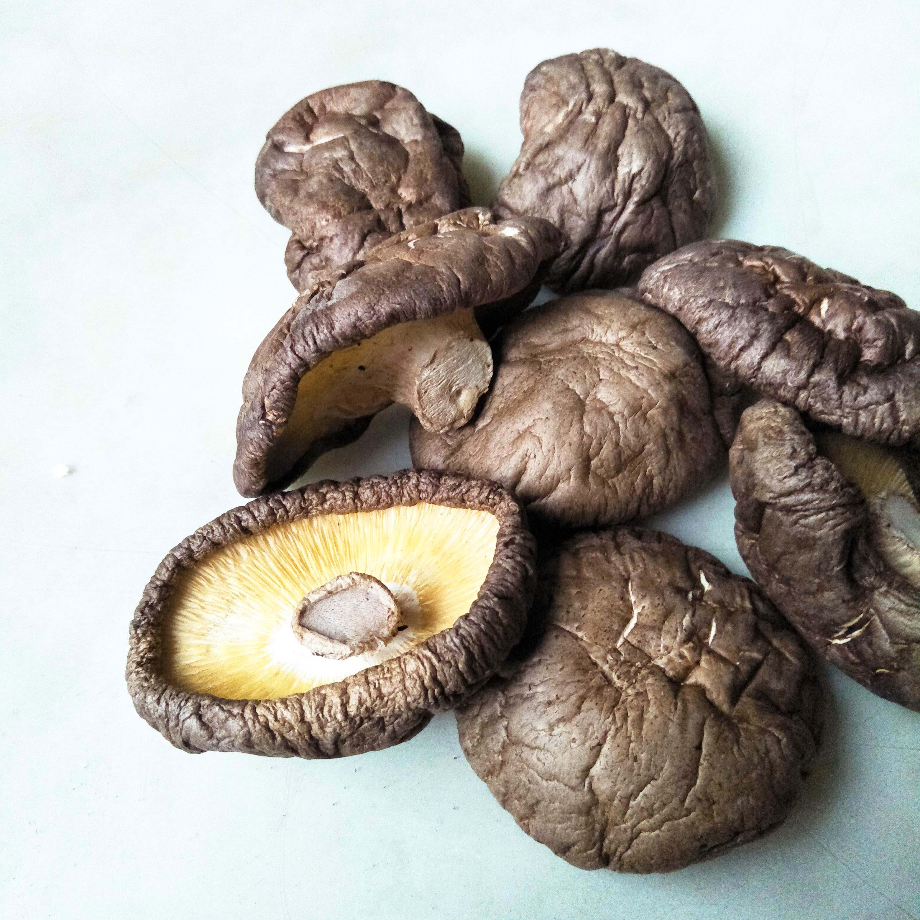 Beneficial Delicious Shiitake Mushroom The Best Choice | Taiwantrade.com