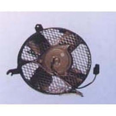 Fan Motor