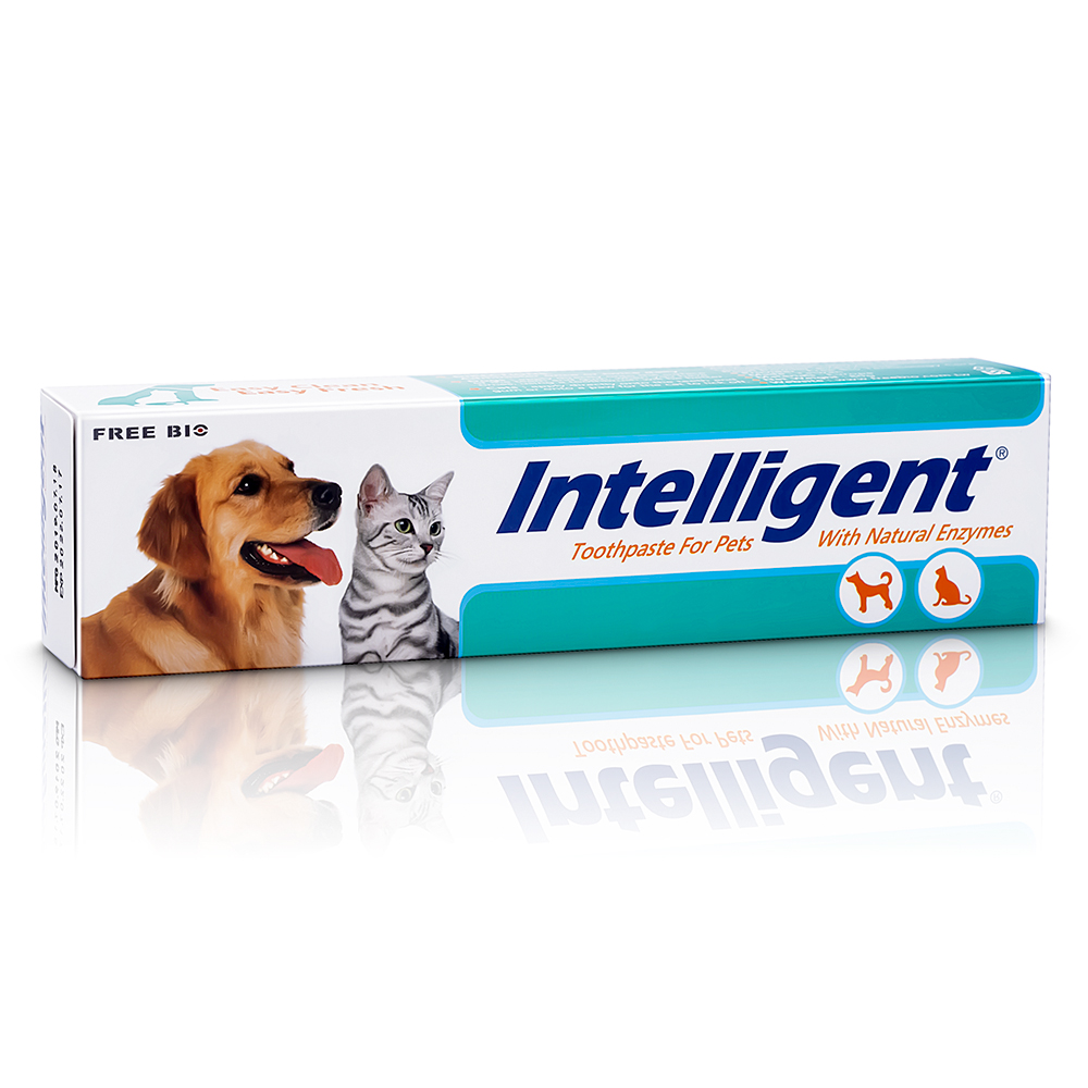 Is dog toothpaste safe for outlet cats