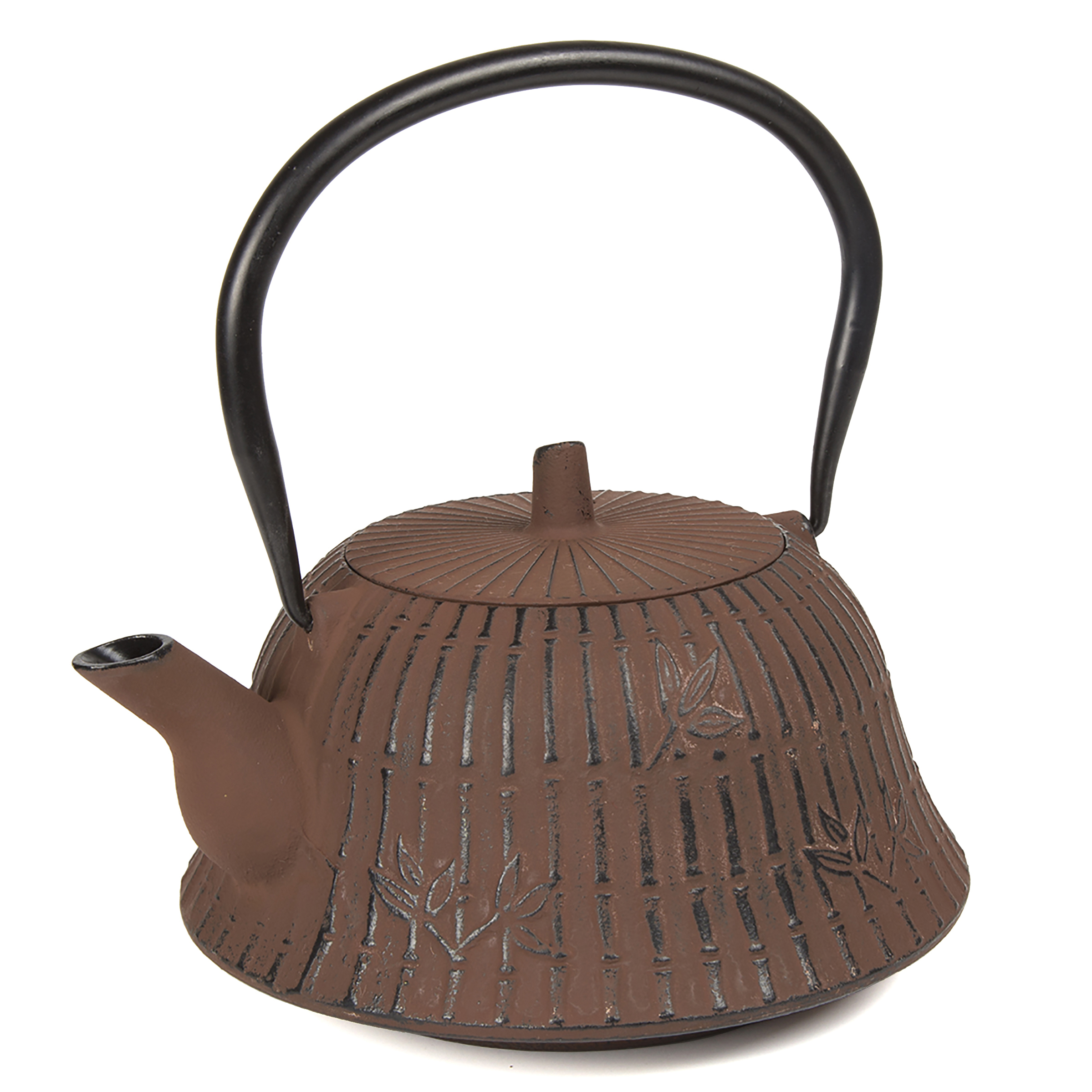Kyusu 40 Oz Cast Iron Tea Pot in Rust Color