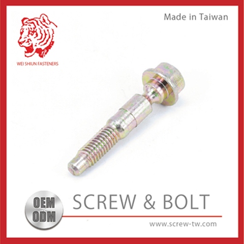 Special Bolt OEM Taiwan top grade