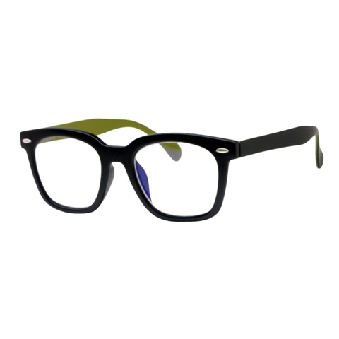 Reading glasses with spring hinge temple _ R-0739