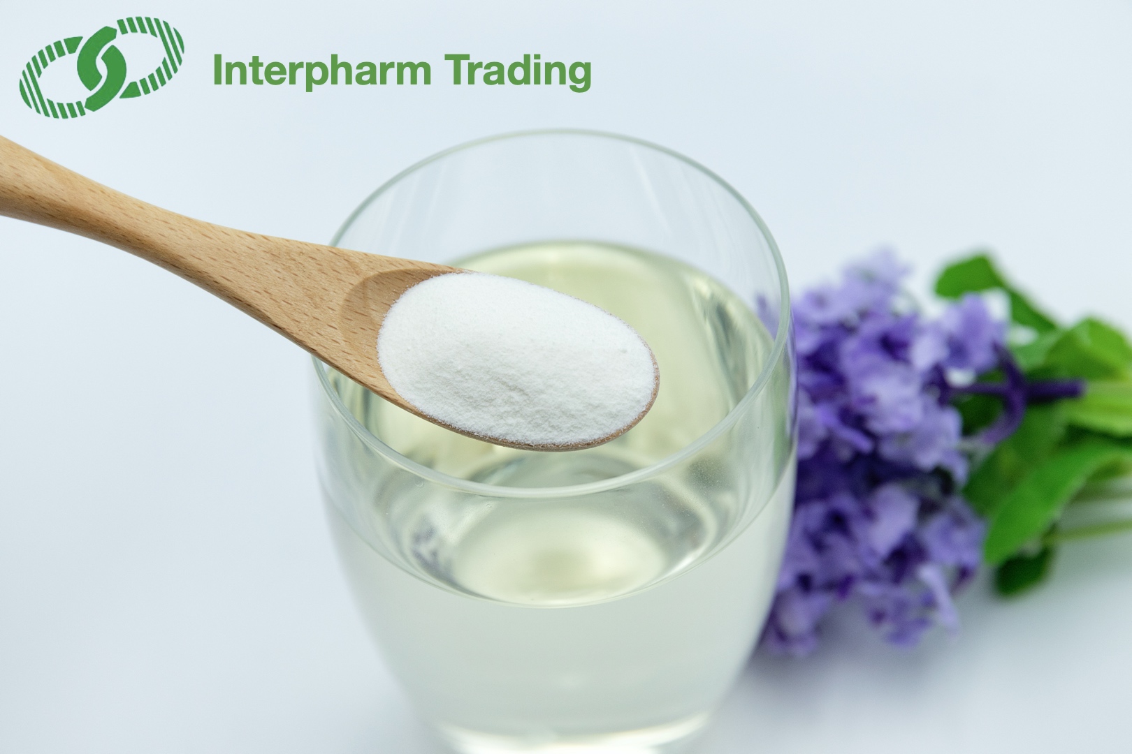 Porcine Collagen Peptides Protein Powder Drink INTERPHARM