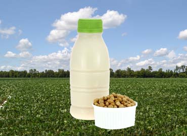 Soybean Milk