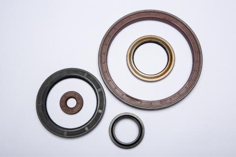 Oil Seal