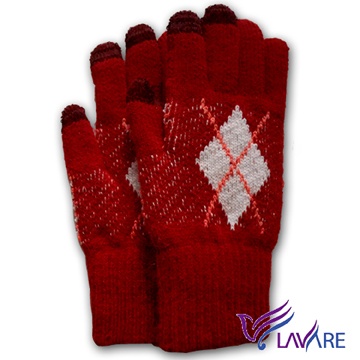 Lavender-i-Touch -Screen Touch Double-Layer Gloves