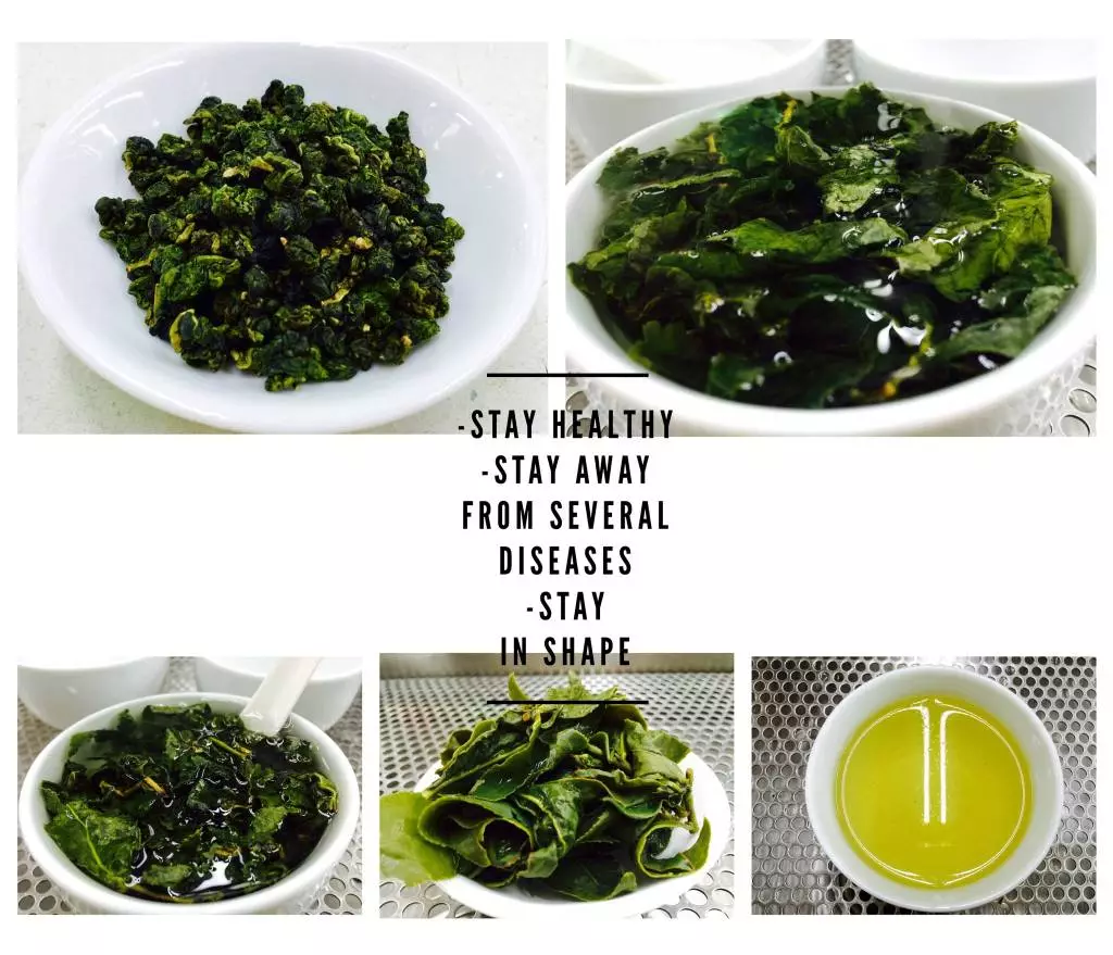 Honey Oolong Tea Sweet Aftertaste Famous Taiwan Oolong Green Tea