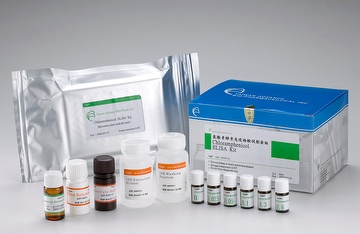 Chloramphenicol (CAP) ELISA Test Kit