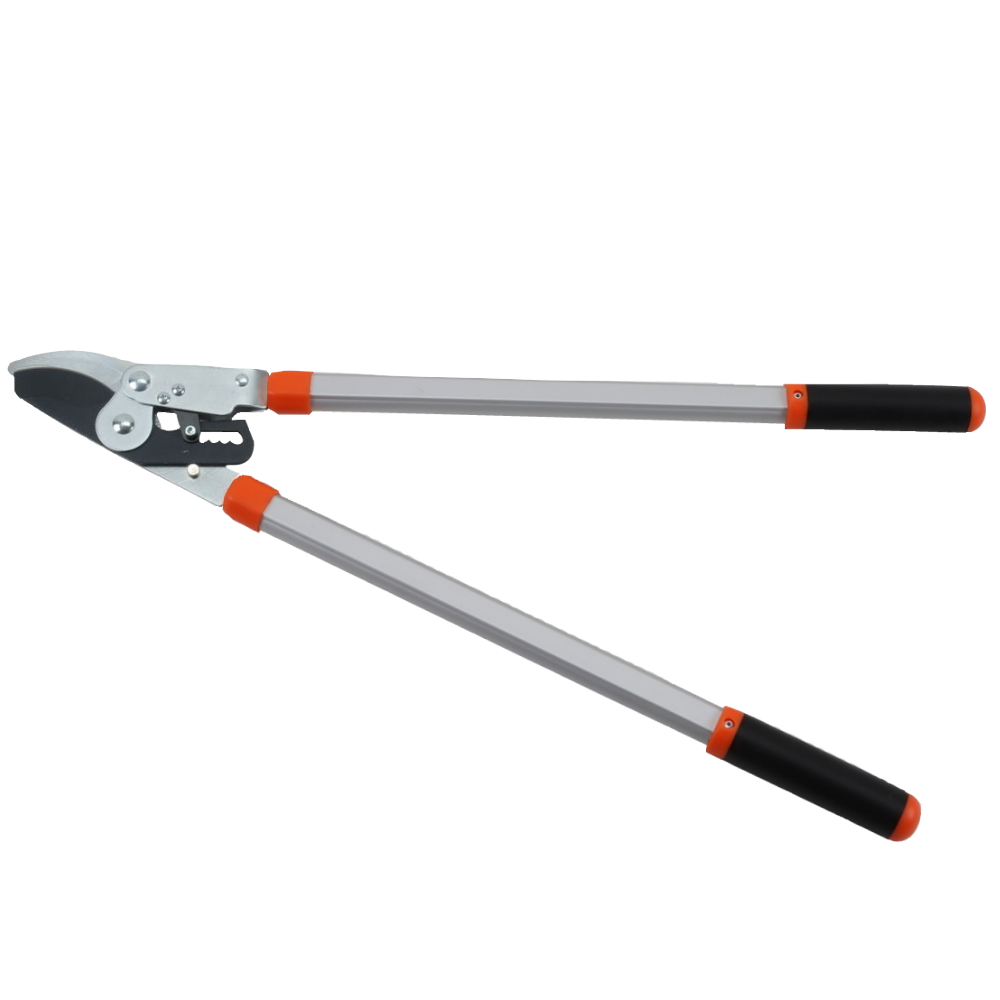 Ratchet Bypass Lopping Shears, Tool, Shear / Pruning Tool