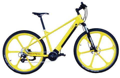 E-BIKE,PEDELEC E-BIKE,E-MTB,36V25W