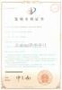China Patent (efficacy)