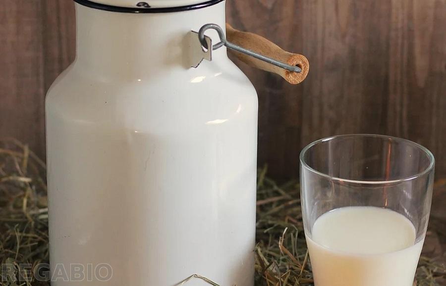 Food Safety Rapid Test Kit Aflatoxin M1 Taiwantrade Com