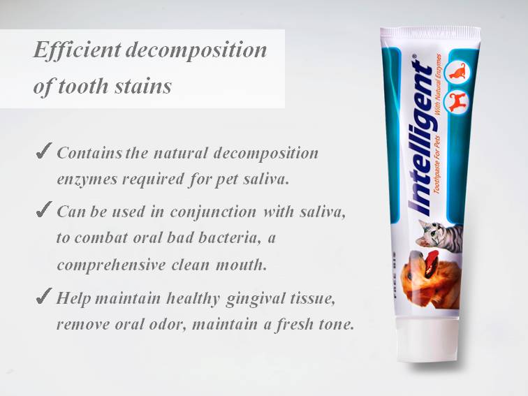 INTELLIGENT Saliva Enzymes Pet Toothpaste for Dog Cat Away from The