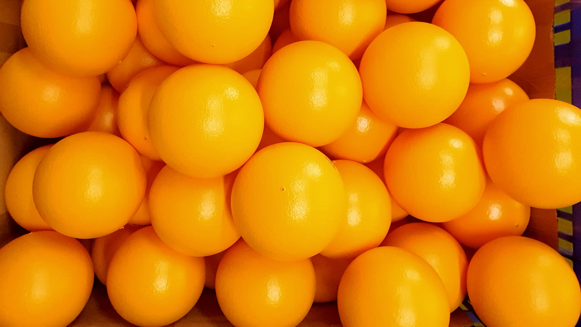manufacturer of PU foam dodgeballs
