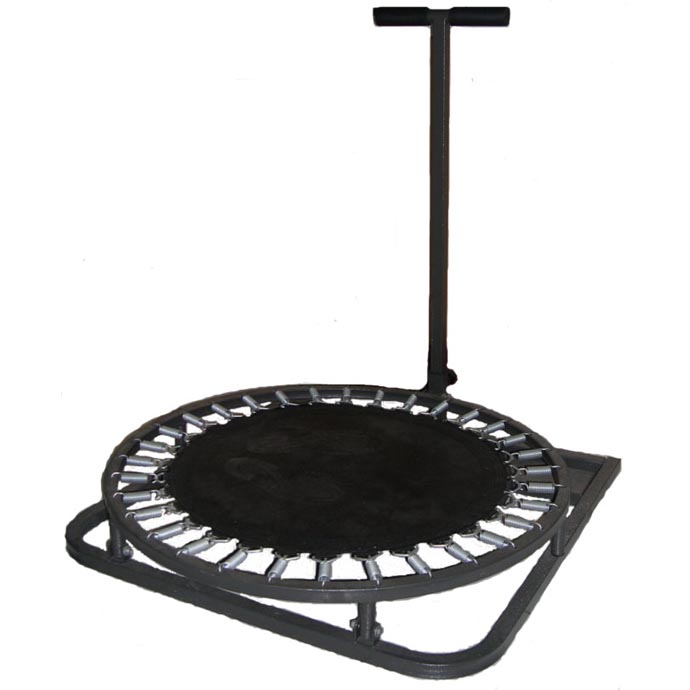 MEDICINE BALL REBOUNDER