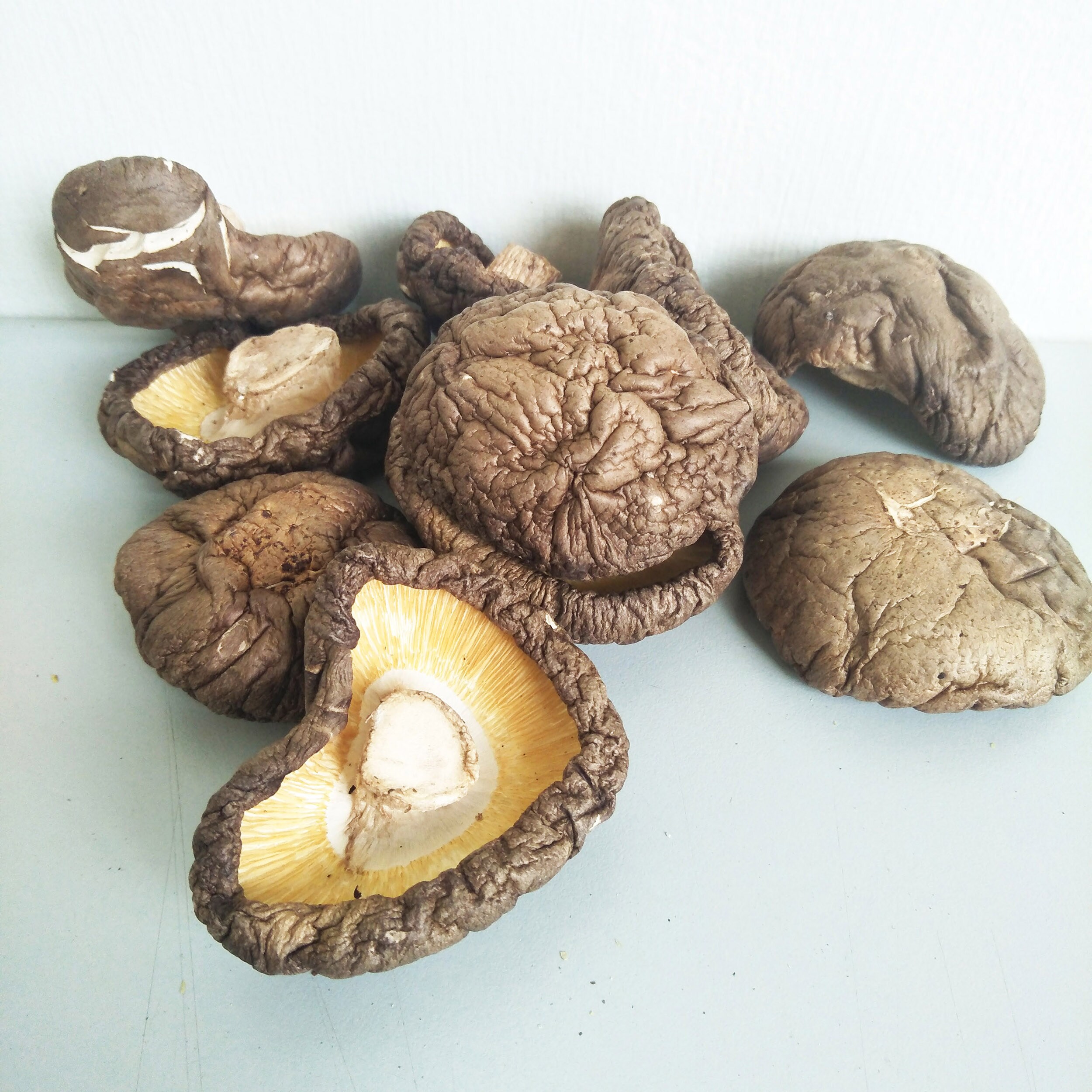 Factory Price Thick Shiitake Mushroom From Taiwan