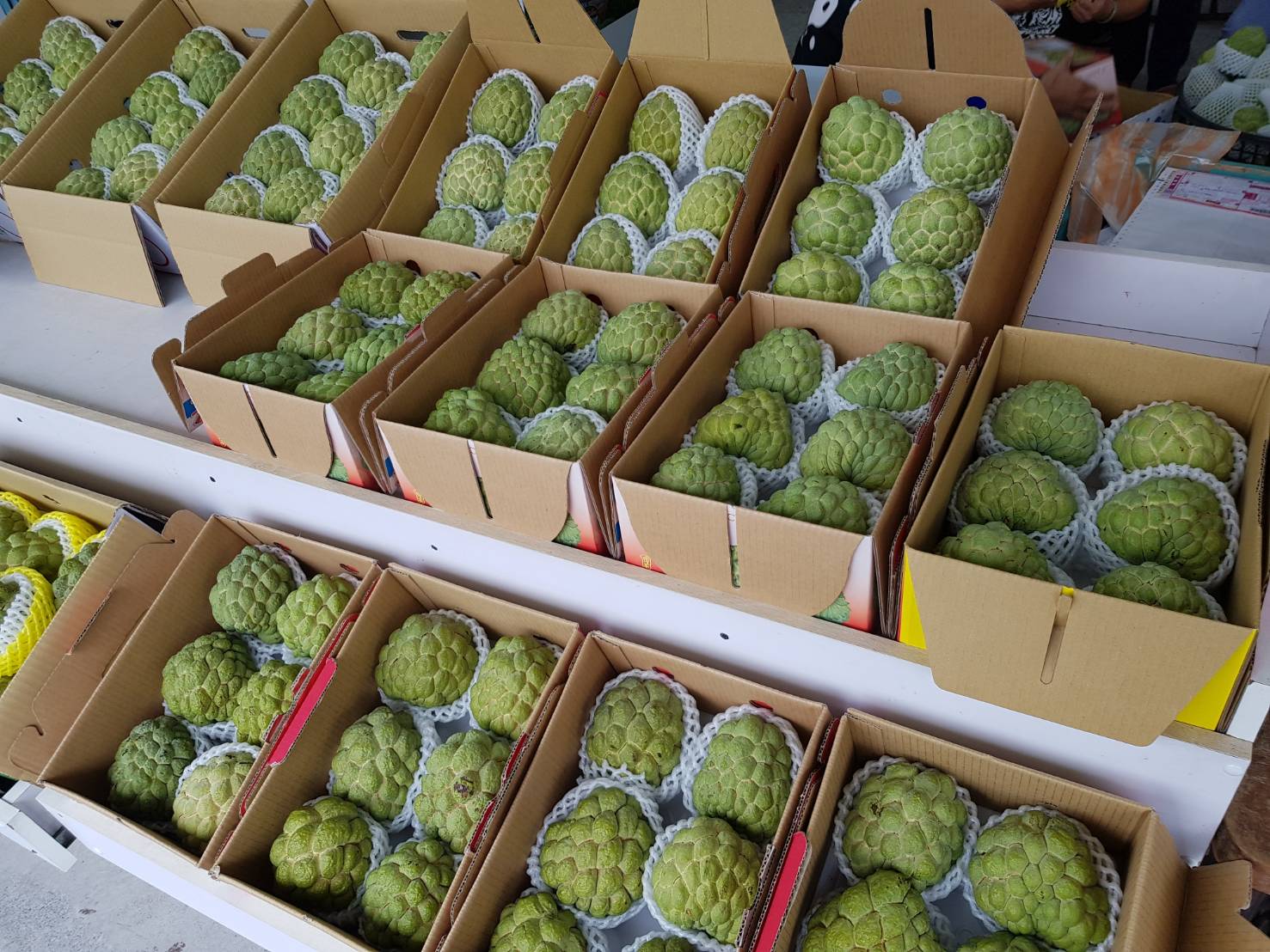 Custard Apple Taiwantrade