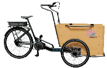 gomier industrial trike