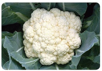 Cauliflower Seeds