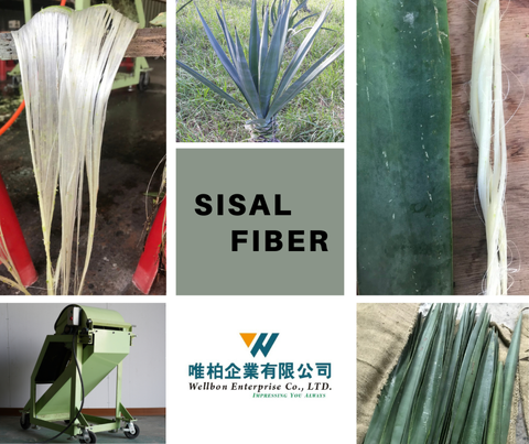 Sisal fiber decorticator