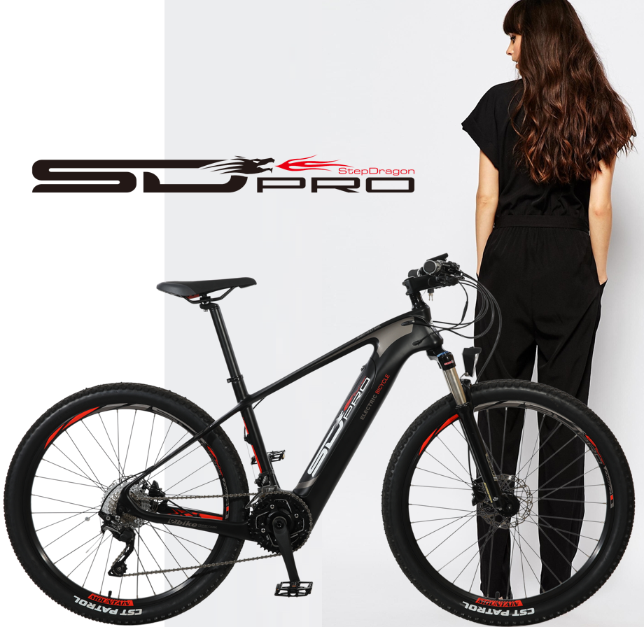 27.5" Taiwan Carbon E Bike / E Bicycle