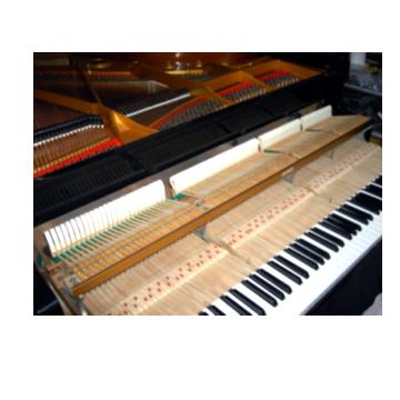 Upright & Grand Piano Restorers