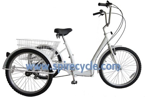 Transport adult tricycle