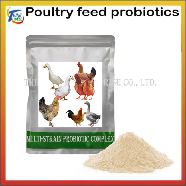 Poultry, livestock, feed probiotics, feed additives, Cattle and sheep