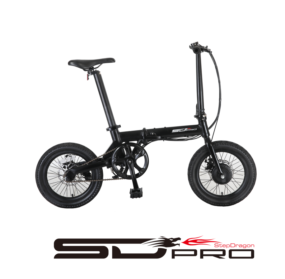 Taiwan 16" Folding E Bike