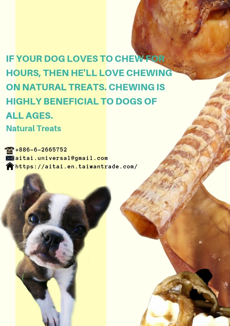 good natural treats for dogs